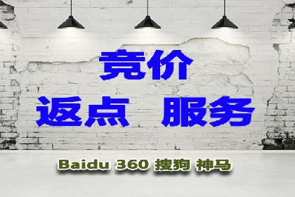 某电商平台的SEM竞价专员成功案例分享